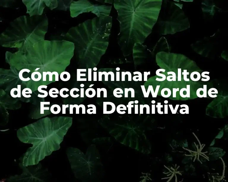 Cómo Eliminar Saltos de Sección en Word de Forma Definitiva