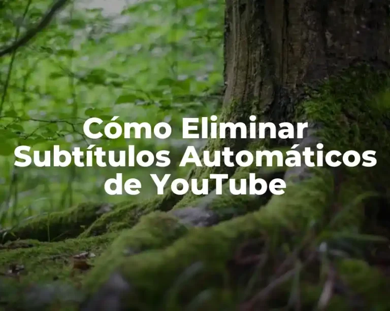 Cómo Eliminar Subtítulos Automáticos de YouTube