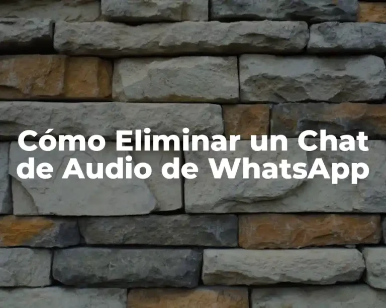 Cómo Eliminar un Chat de Audio de WhatsApp