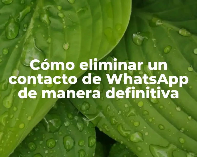 Cómo eliminar un contacto de WhatsApp de manera definitiva