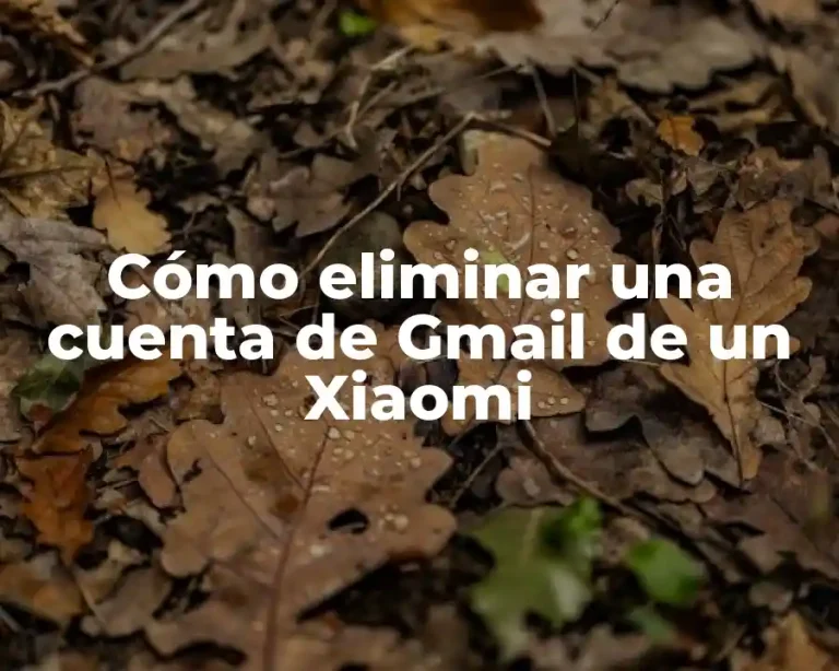 Cómo eliminar una cuenta de Gmail de un Xiaomi