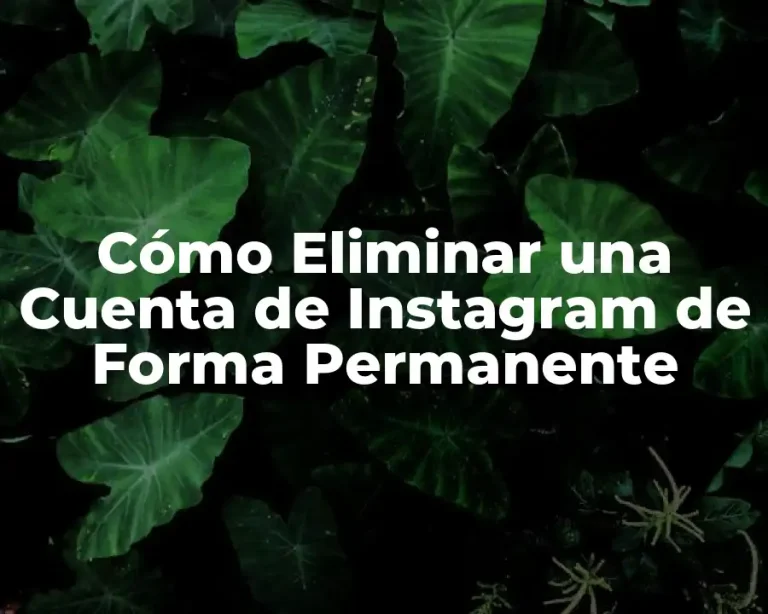 Cómo Eliminar una Cuenta de Instagram de Forma Permanente