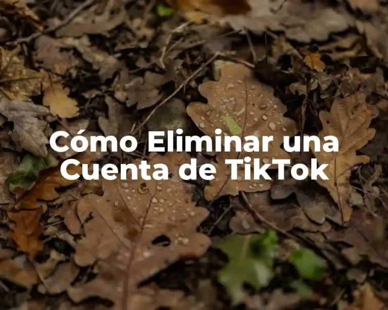 Cómo Eliminar una Cuenta de TikTok
