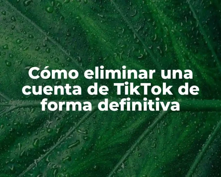 Cómo eliminar una cuenta de TikTok de forma definitiva