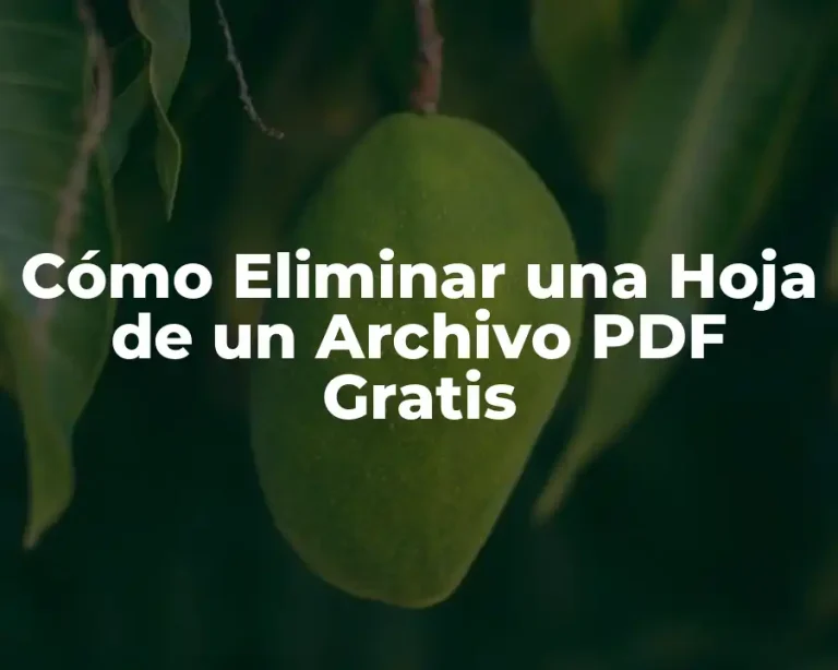 Cómo Eliminar una Hoja de un Archivo PDF Gratis