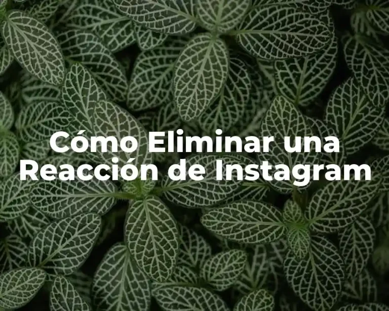 Cómo Eliminar una Reacción de Instagram