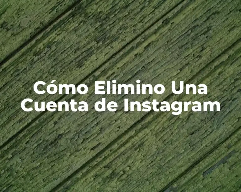 Cómo Elimino Una Cuenta de Instagram
