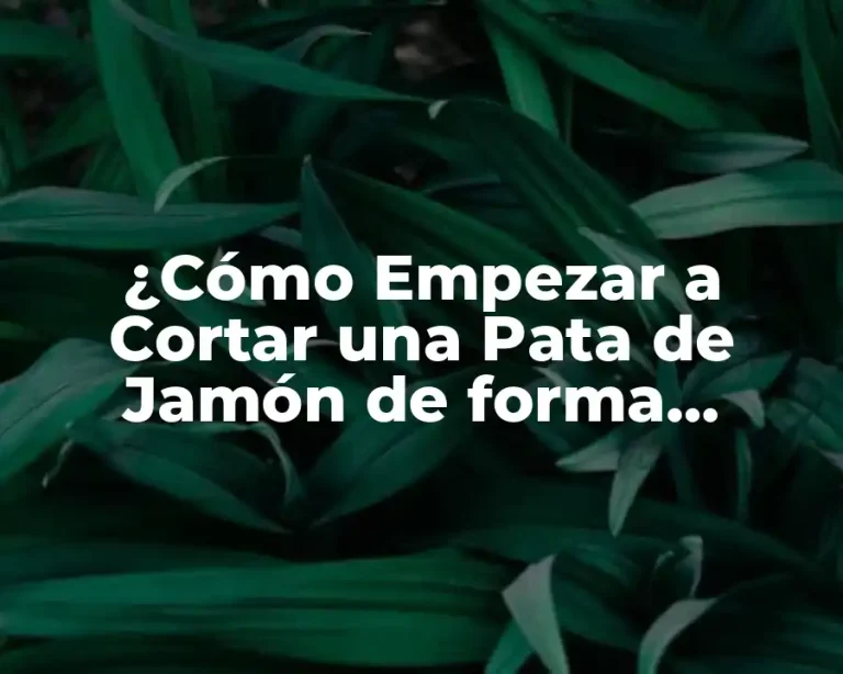 ¿Cómo Empezar a Cortar una Pata de Jamón de forma Profesional?