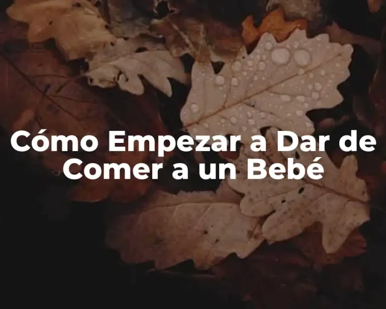 Cómo Empezar a Dar de Comer a un Bebé