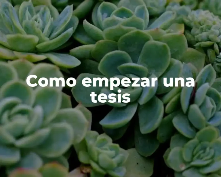 Como empezar una tesis