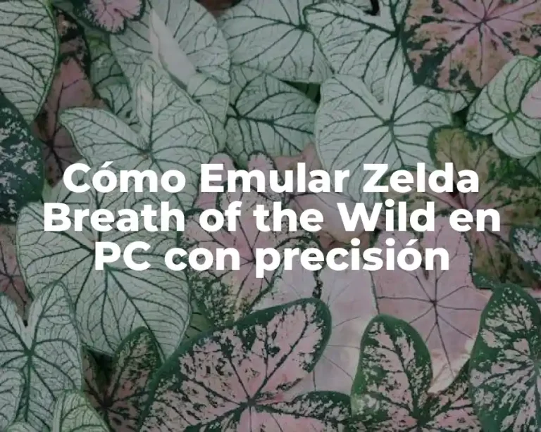 Cómo Emular Zelda Breath of the Wild en PC con precisión