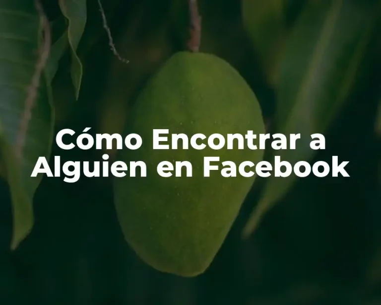 Cómo Encontrar a Alguien en Facebook