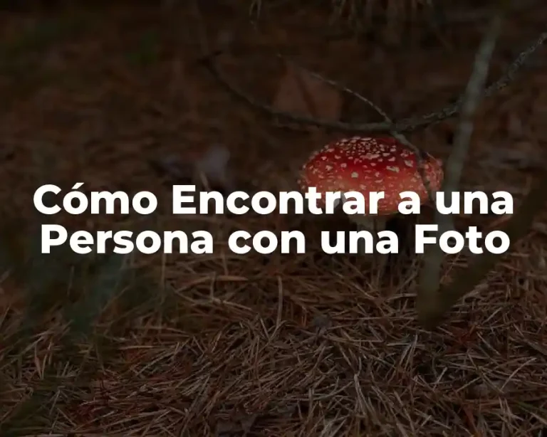 Cómo Encontrar a una Persona con una Foto