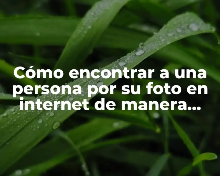 Cómo encontrar a una persona por su foto en internet de manera segura y efectiva