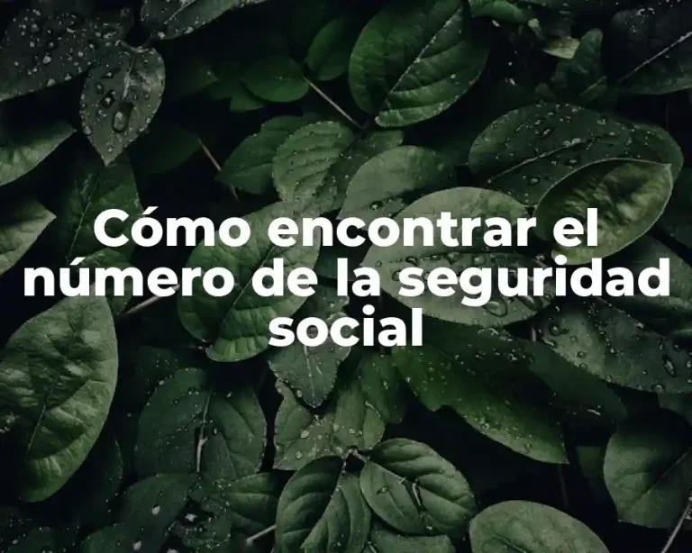 Cómo encontrar el número de la seguridad social