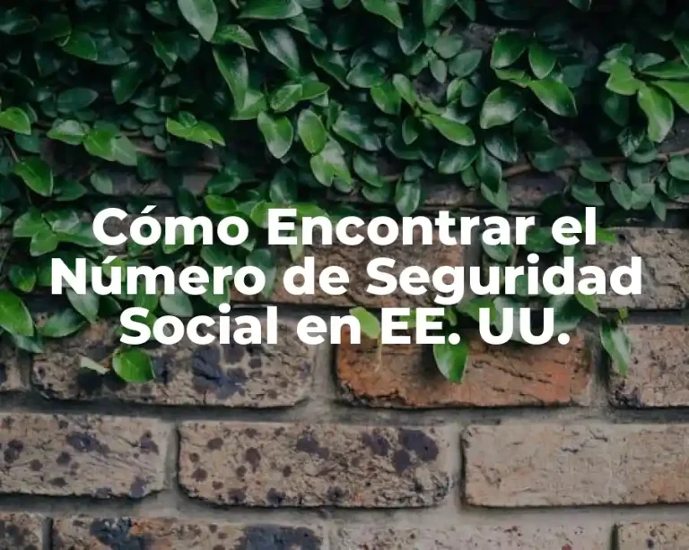 Cómo Encontrar el Número de Seguridad Social en EE. UU.