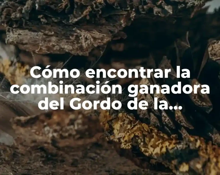 Cómo encontrar la combinación ganadora del Gordo de la Primitiva