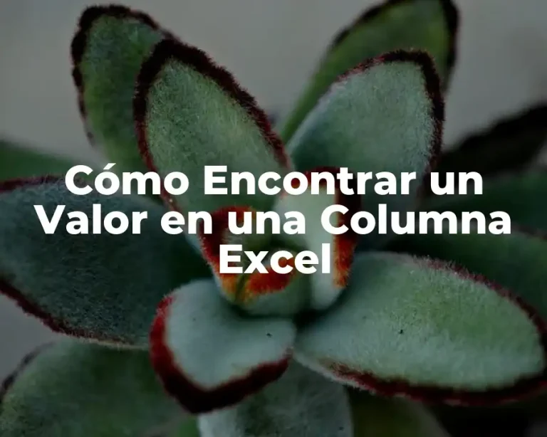 Cómo Encontrar un Valor en una Columna Excel