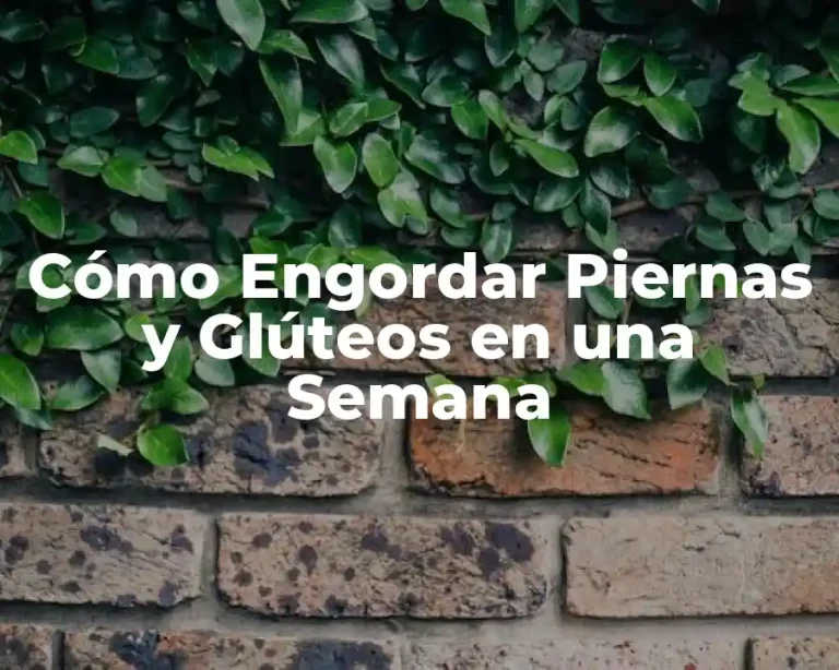 Cómo Engordar Piernas y Glúteos en una Semana