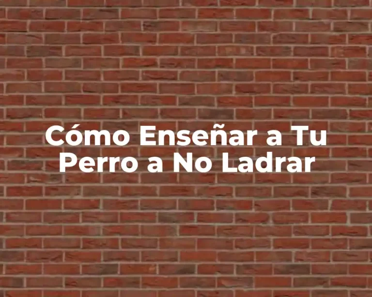 Cómo Enseñar a Tu Perro a No Ladrar