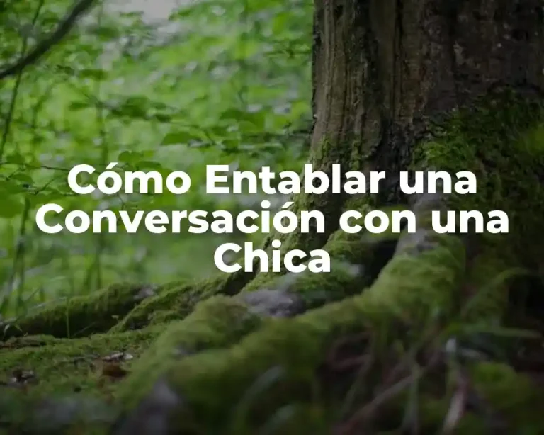 Cómo Entablar una Conversación con una Chica