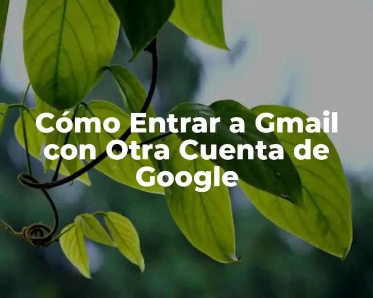 Cómo Entrar a Gmail con Otra Cuenta de Google