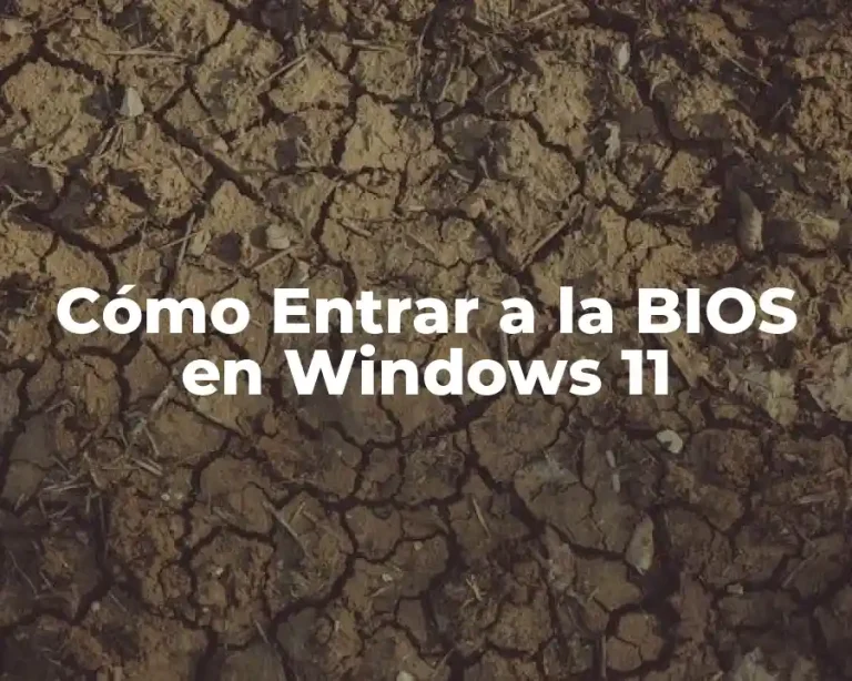 Cómo Entrar a la BIOS en Windows 11