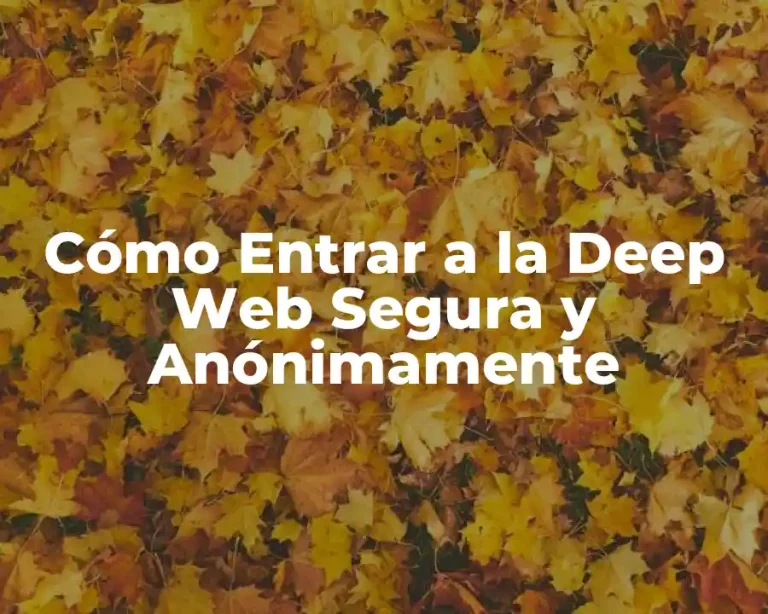 Cómo Entrar a la Deep Web Segura y Anónimamente