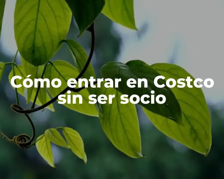 Cómo entrar en Costco sin ser socio