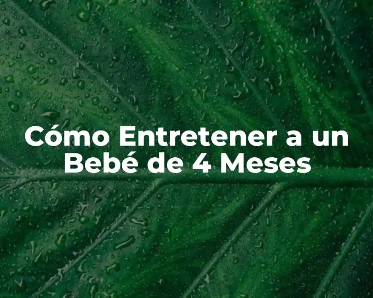 Cómo Entretener a un Bebé de 4 Meses