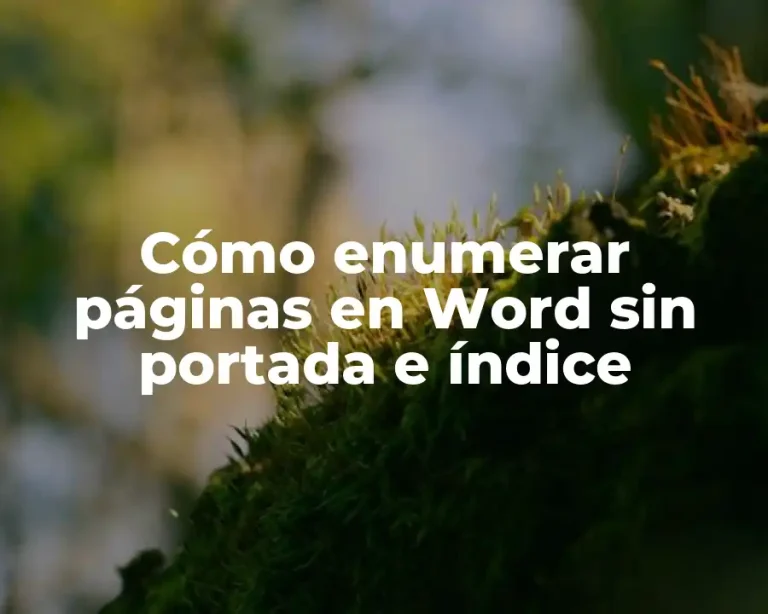 Cómo enumerar páginas en Word sin portada e índice