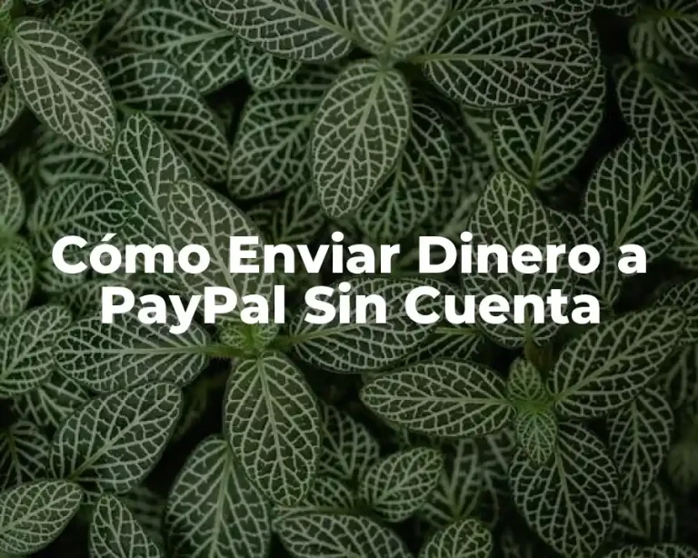 Cómo Enviar Dinero a PayPal Sin Cuenta