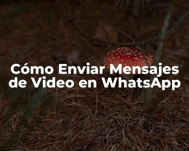 Cómo Enviar Mensajes de Video en WhatsApp