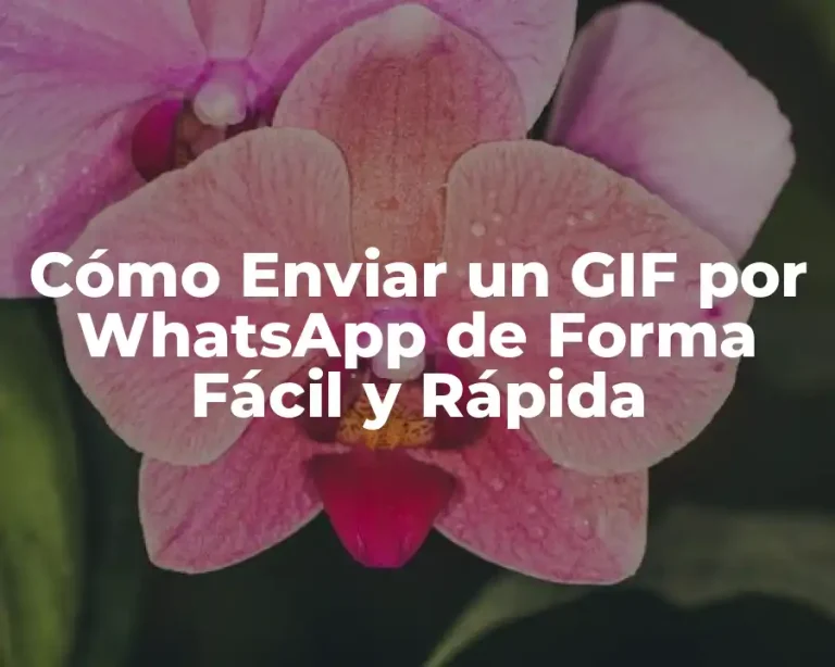 Cómo Enviar un GIF por WhatsApp de Forma Fácil y Rápida