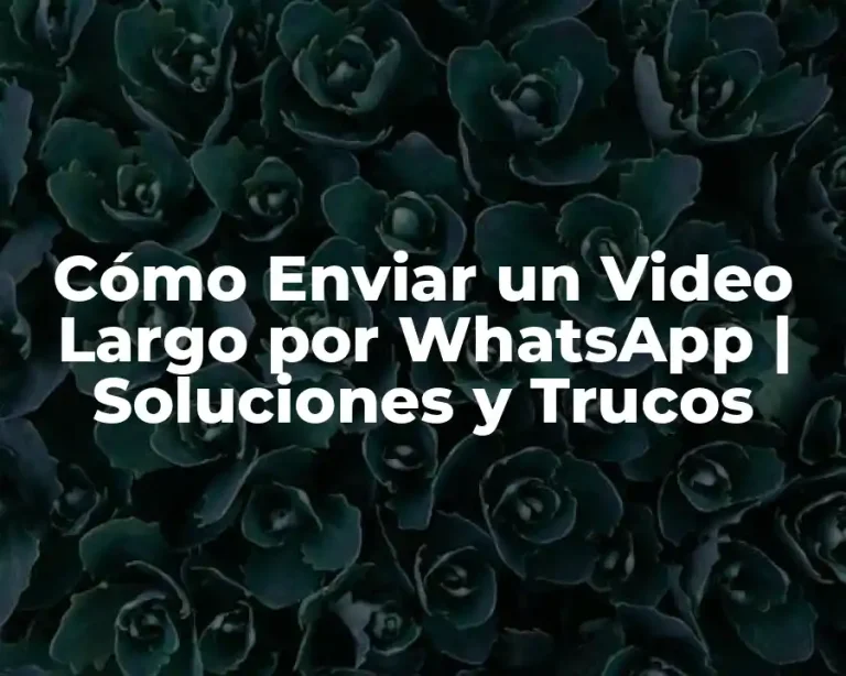Cómo Enviar un Video Largo por WhatsApp | Soluciones y Trucos