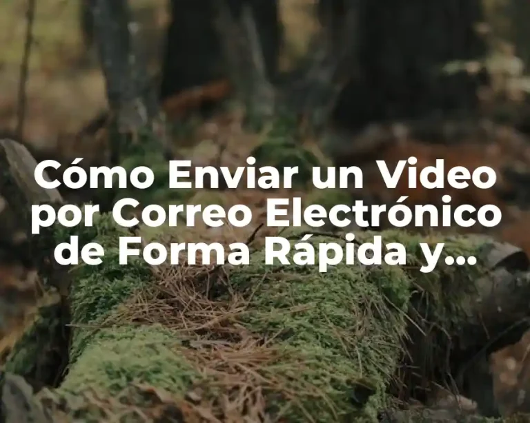 Cómo Enviar un Video por Correo Electrónico de Forma Rápida y Segura
