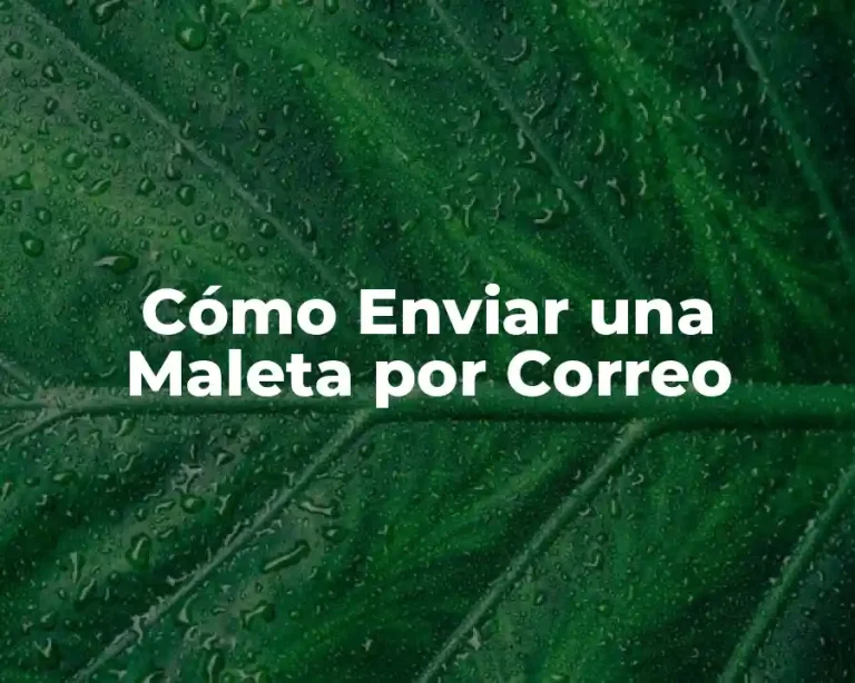 Cómo Enviar una Maleta por Correo