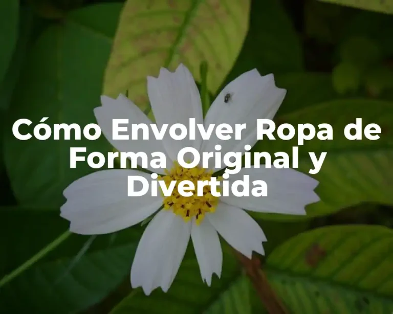 Cómo Envolver Ropa de Forma Original y Divertida