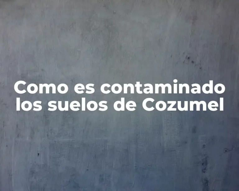 Como es contaminado los suelos de Cozumel