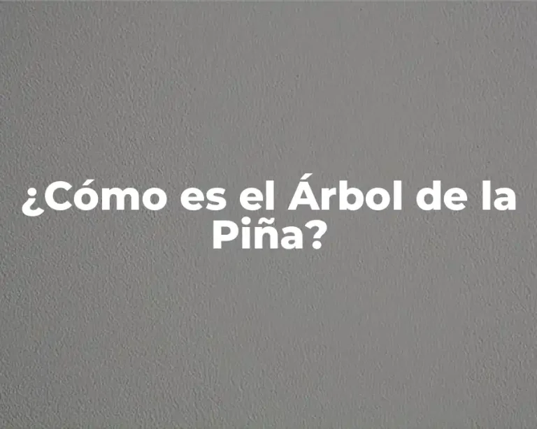 ¿Cómo es el Árbol de la Piña?