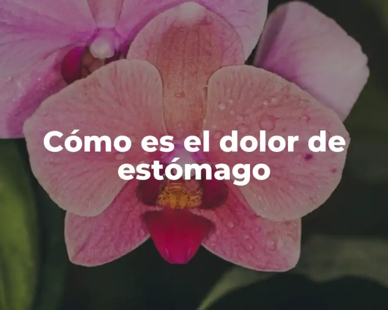 Cómo es el dolor de estómago