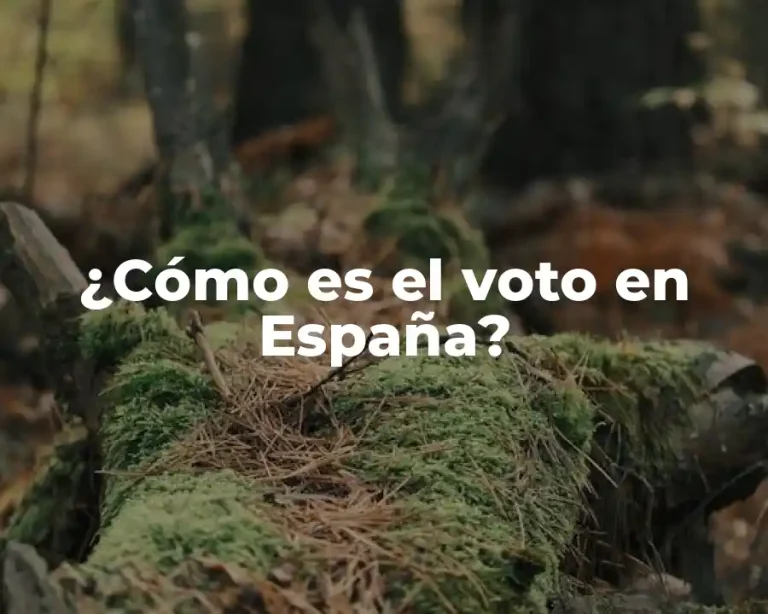 ¿Cómo es el voto en España?