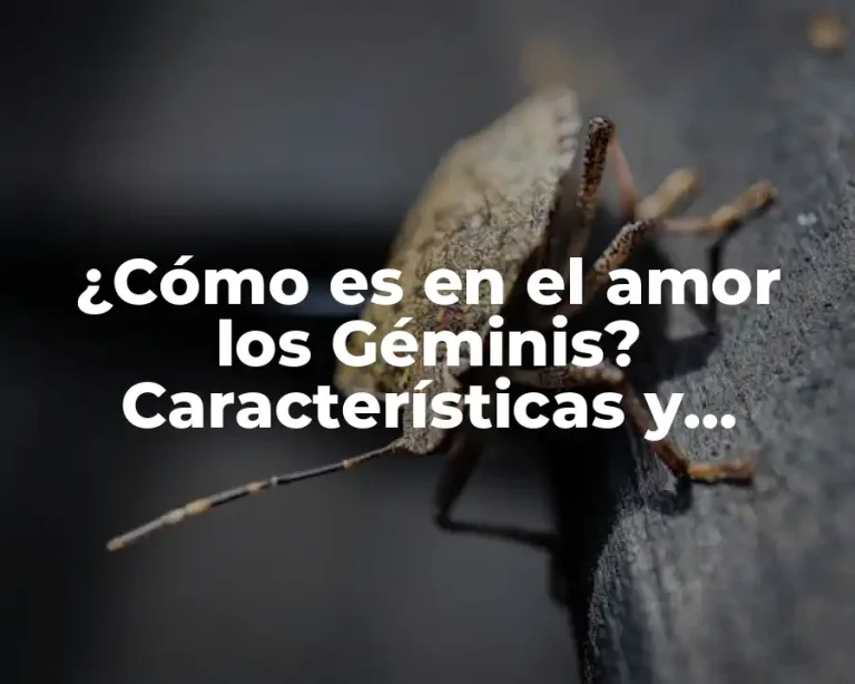 ¿Cómo es en el amor los Géminis? Características y comportamientos