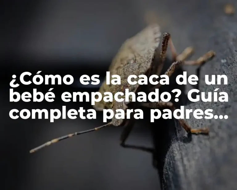 ¿Cómo es la caca de un bebé empachado? Guía completa para padres preocupados