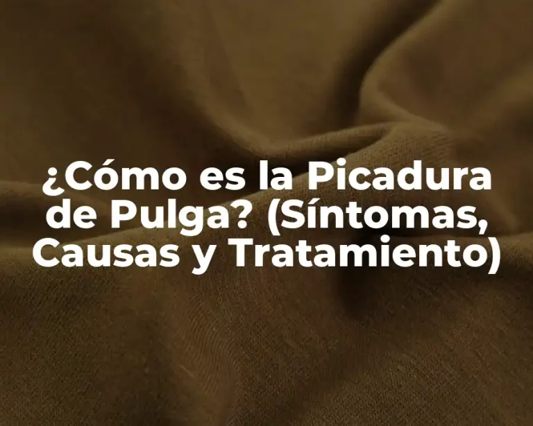 ¿Cómo es la Picadura de Pulga? (Síntomas, Causas y Tratamiento)