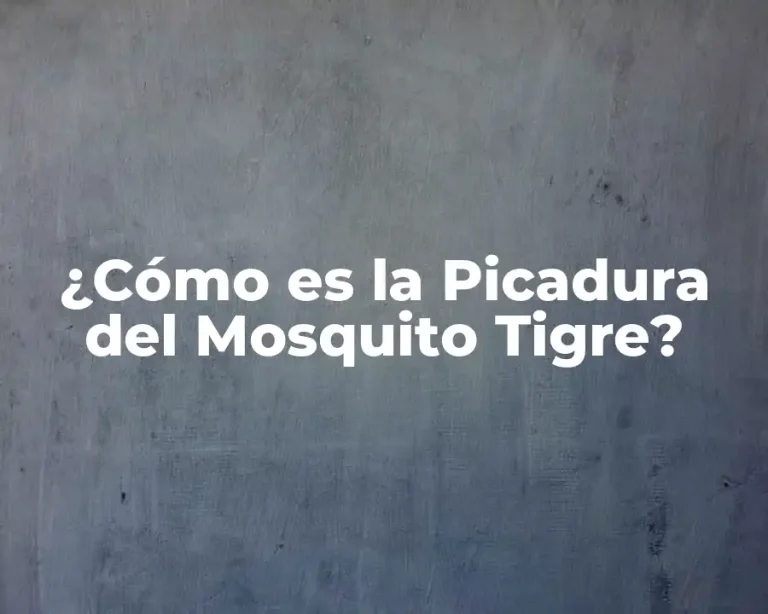 ¿Cómo es la Picadura del Mosquito Tigre?