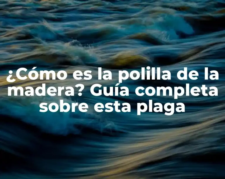 ¿Cómo es la polilla de la madera? Guía completa sobre esta plaga