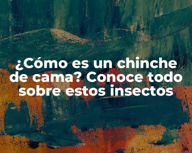 ¿Cómo es un chinche de cama? Conoce todo sobre estos insectos