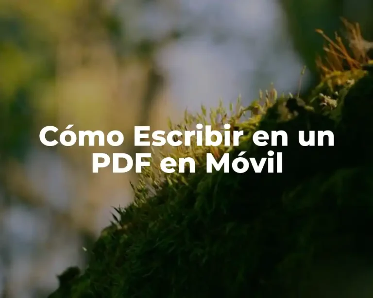 Cómo Escribir en un PDF en Móvil
