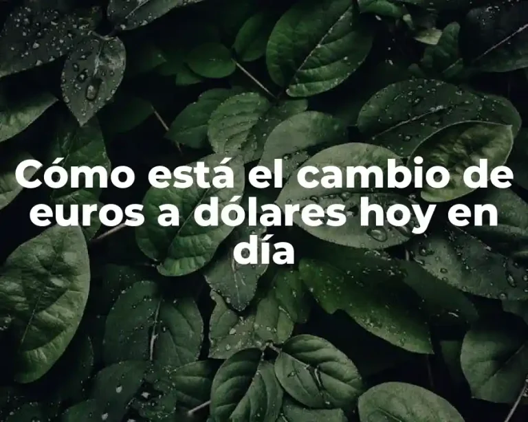 Cómo está el cambio de euros a dólares hoy en día